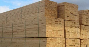 انواع-چوب-720x340