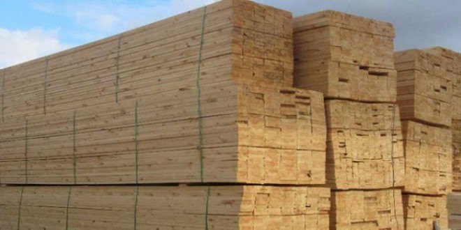 انواع-چوب-720x340